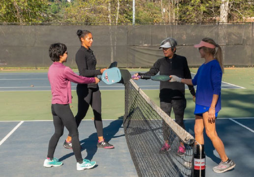 Pickleball Image 2