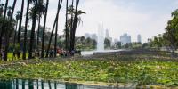 Echo Park Lake Echo Park Lake
